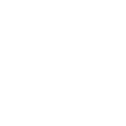 Brave by Faith Travel